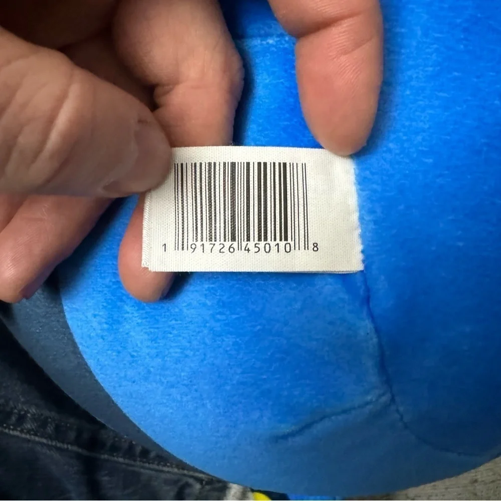 Disney x Squishmallows‎ Dory Plush